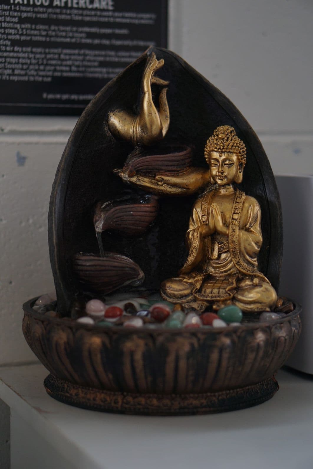 The Wild Lotus studio sanctuary space